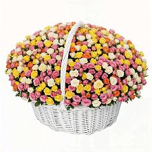 Премиум букет из: Розы в Агинском